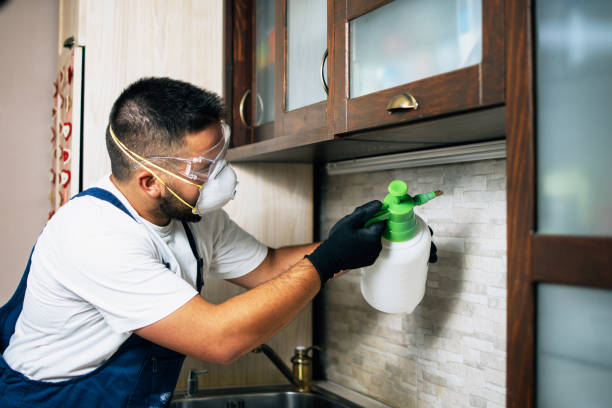 Best Mosquito Control Services  in Elberton, GA