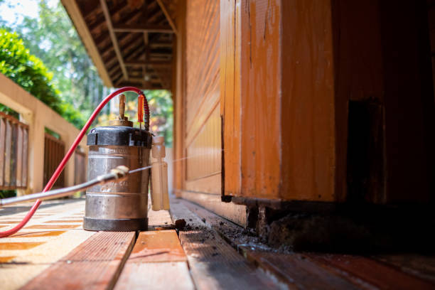 Best Ant Control Services  in Elberton, GA