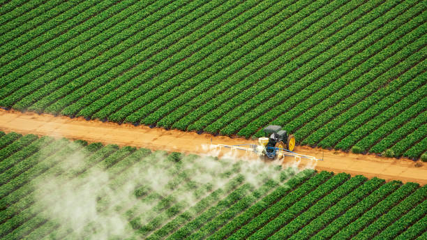 Best Termite Control Services  in Elberton, GA