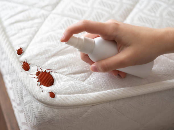Best Pest Control Near Me  in Elberton, GA