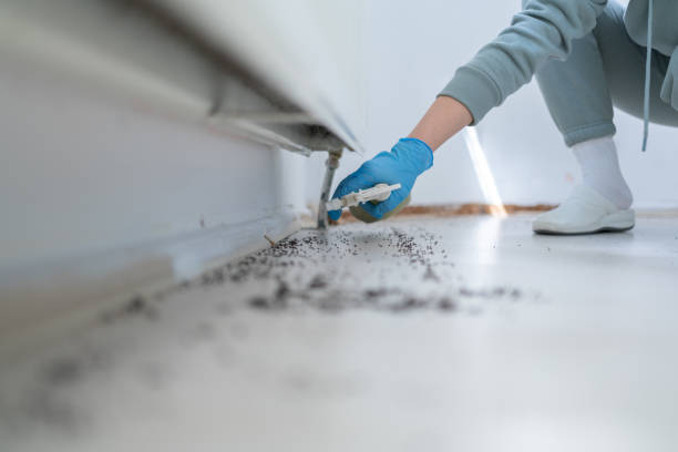 Best Exterminator Services  in Elberton, GA