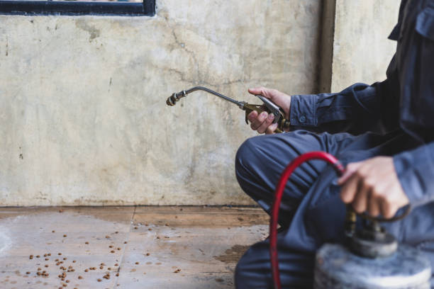Best Pest Control Near Me in Elberton, GA